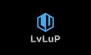 lvlupsolutions.com