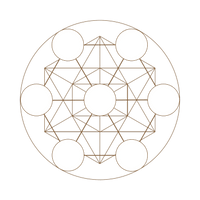 The
Seed of Life Holistic Wellness