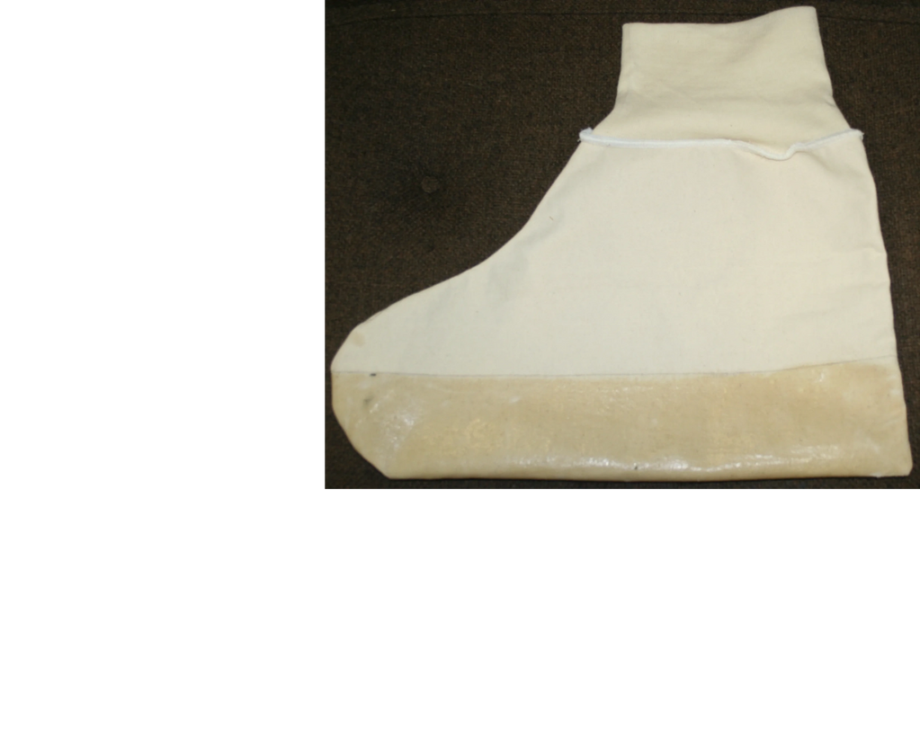 Over The Ankle Shoe Cover.