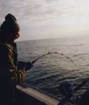 Alaska Halibut Fishing with Gotta Fish Charters
