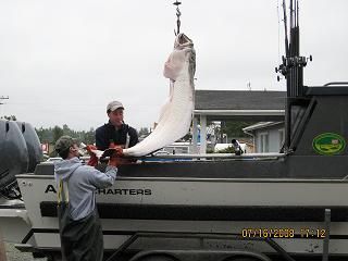 Alaska halibut fishing with A&M Charters 