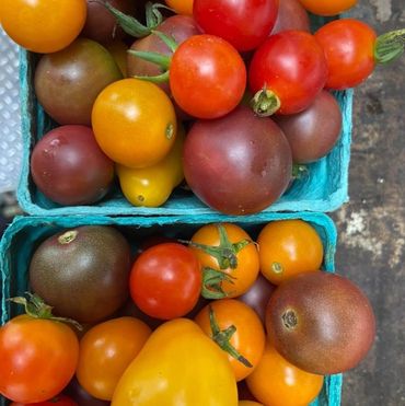 Fresh heirloom grape tomatoes