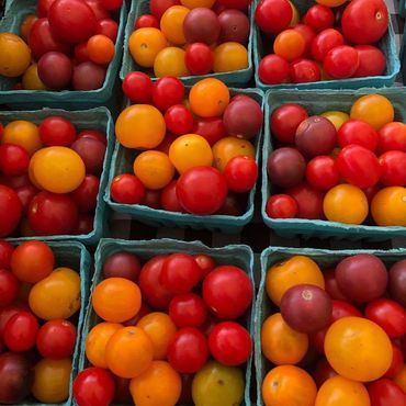 heirloom grape cherry tomatoes