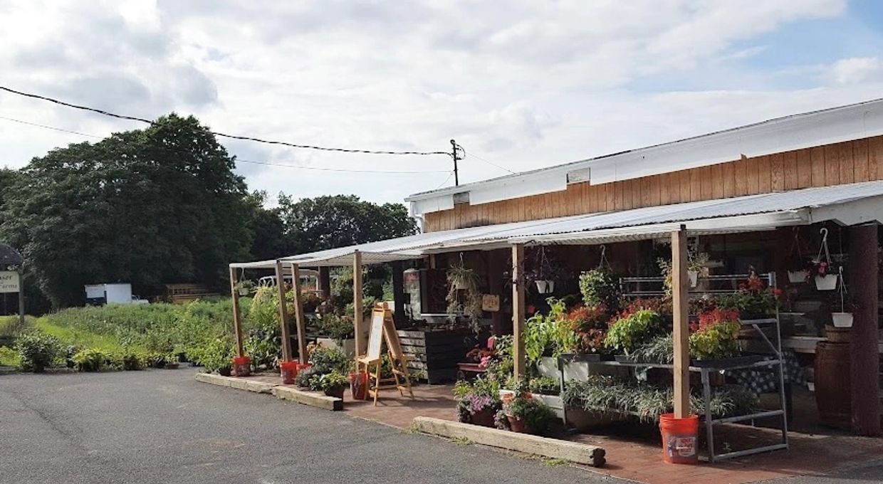 Hauser Hill Farm Stand