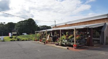 Farm stand front view from ticetown road. 