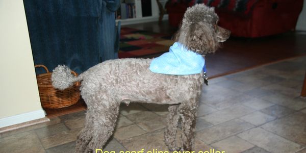 Dog scarves Carls crafty