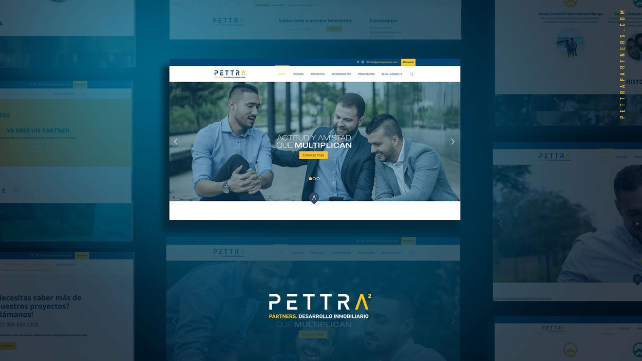 PETTRA PARTNERS