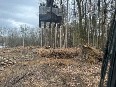 Excavator clearing trees in a forested area on a cloudy day.
