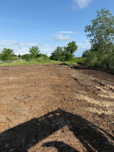 Cleared plot of land with trees and blue sky in the background.
