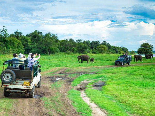 safari sri lanka