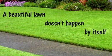 Lawn Care Programs | Phillips Lawn Care