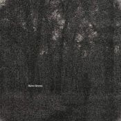 The Shadow