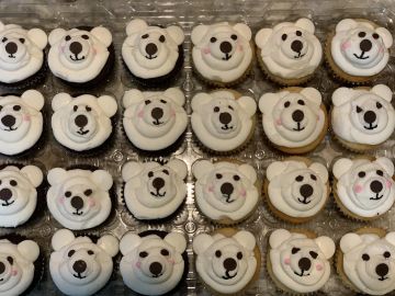Cupcakes decorated with polar bear faces.