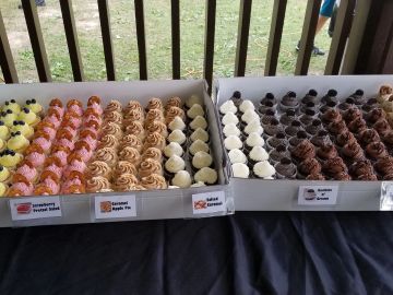 Assortment of colorful mini cupcakes with labels.