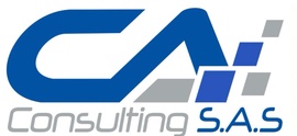 CA CONSULTING SAS