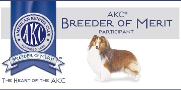 Sheltie kennel clearance