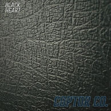 Close-up of textured black leather surface.
