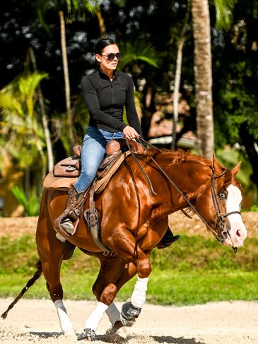 Reining, Reining Horse Trainer, Reining Horse Facility, Horseback Riding Lessons, Miami, Fort Laud