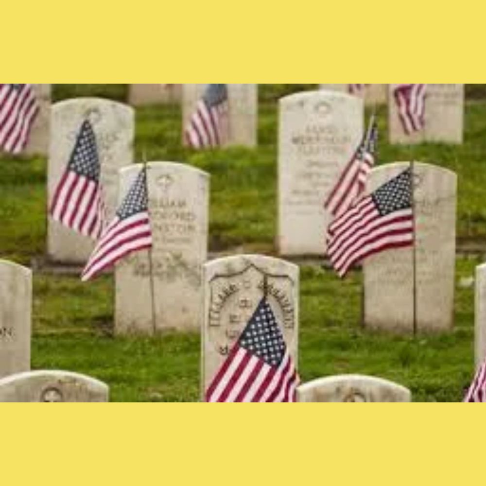 American flags placed beside military gravestones in a cemetery.