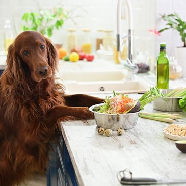 Dog cooking organic grain free dog treats. 