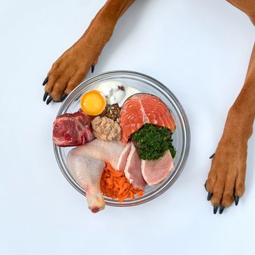 Dog paws with a bowl of fresh meats like chicken, salmon, pork, and beef in it.