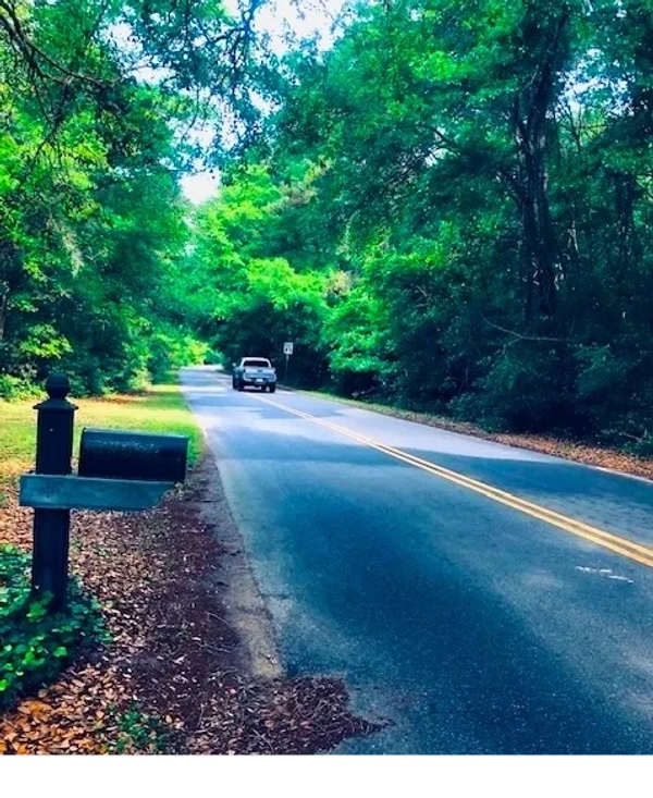 Roadkill is most often found on backroads with double yellow lines.