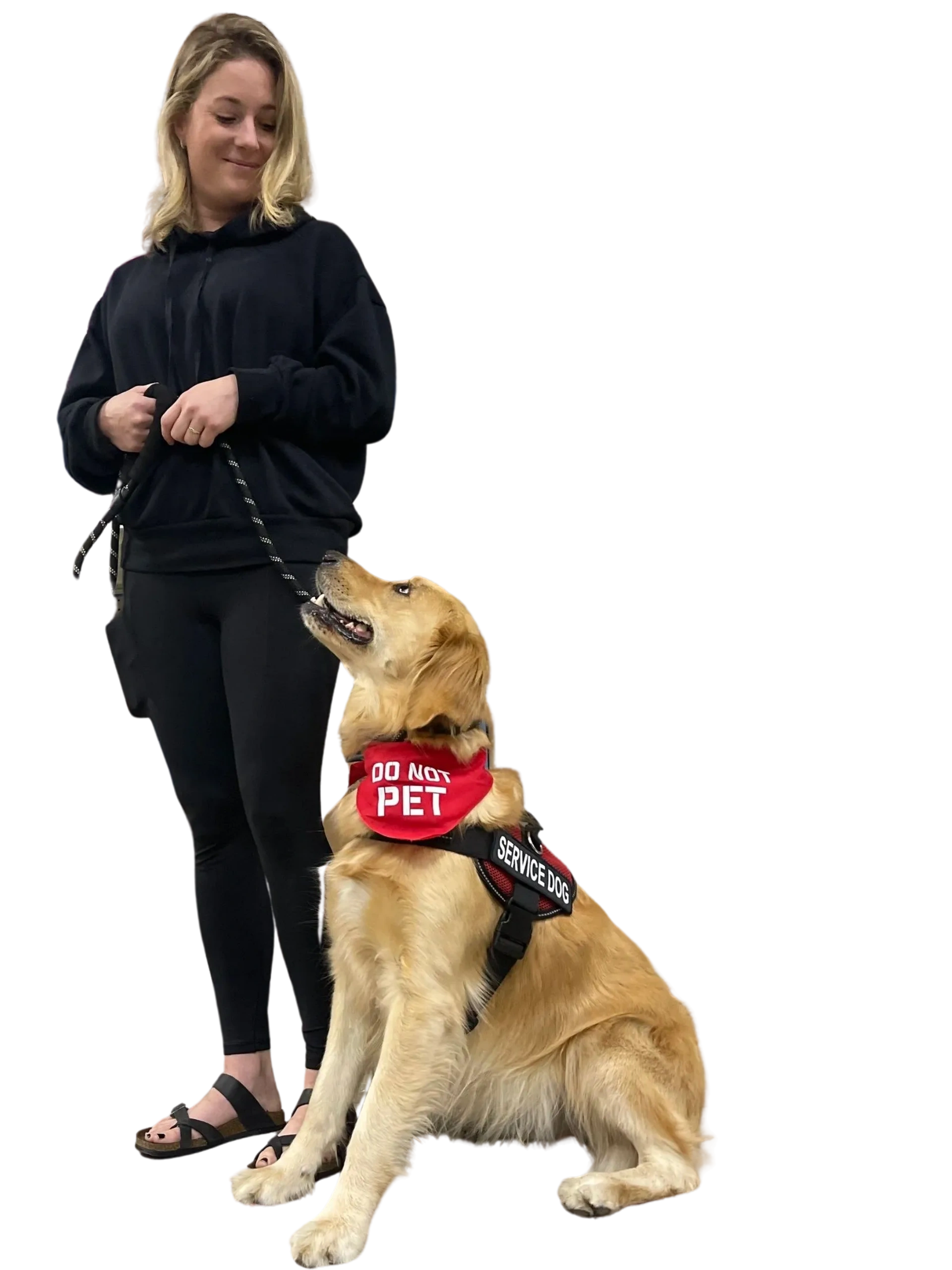 Service Dog Training Service Dog Training