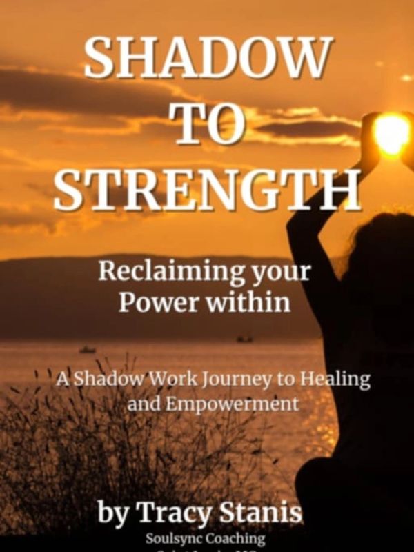 Book cover of 'Shadow to Strength' with a sunset and silhouette background.
