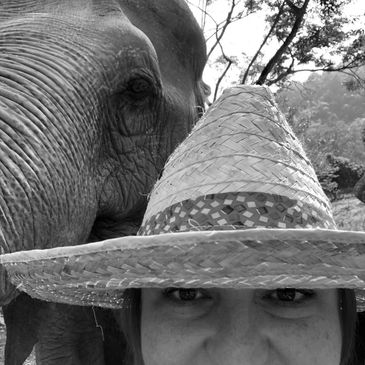 Person & elephant