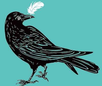 crow holding white feather