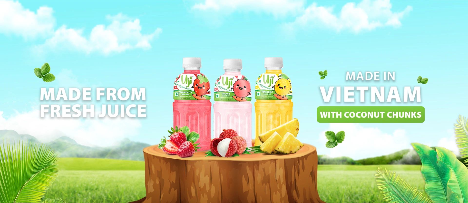 UJI Foods Bottled Coconut Water & Fresh Delivery