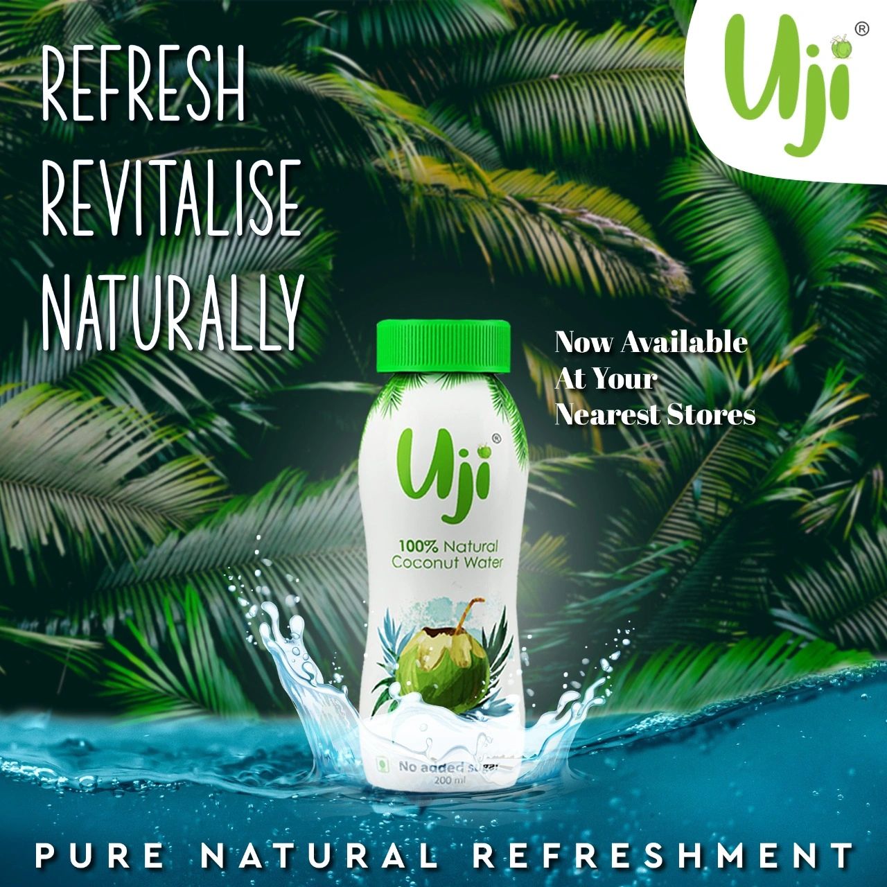 The Science Behind UJI Coconut Water's Nutritional Value