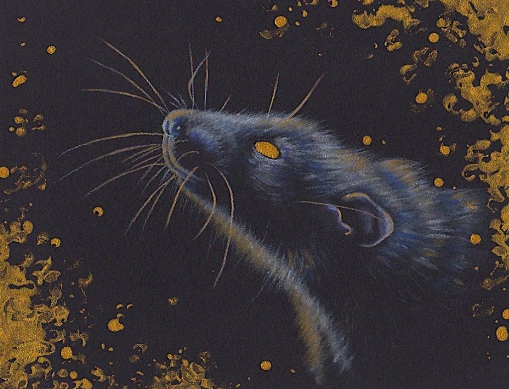 "Feed the Rat"
