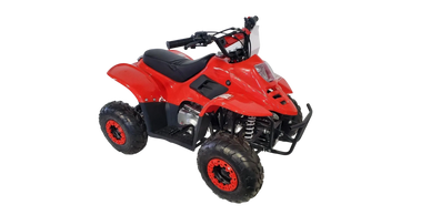 110cc ATV, DF110, DongFang 110cc ATV, Kids ATV Red
Sacramento ATV Motors Inc.
