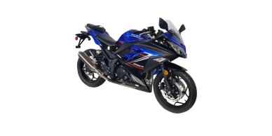 Motorcycle, 250cc Motorbike, FLXR-250 Motorcycle, Amigo Motorcycle, Sacramento ATV Motors Inc.