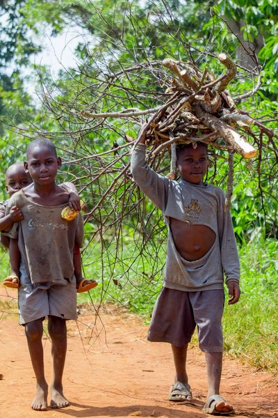 Women and young girls spend many hours per day collecting wood