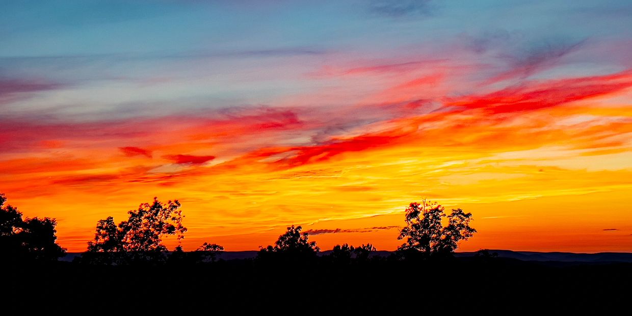 Vibrant sunset with silhouetted trees against a colorful sky.
