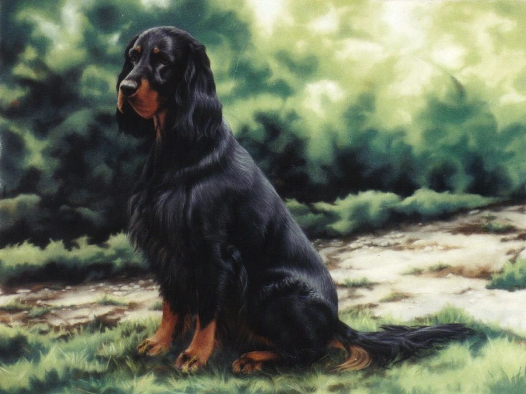 Custom Pet Paintings by Rochelle Mason, Artist
Original artwork, paintings