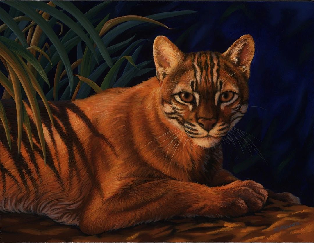 Asian golden cat painting for sale by Rochelle Mason, Artist