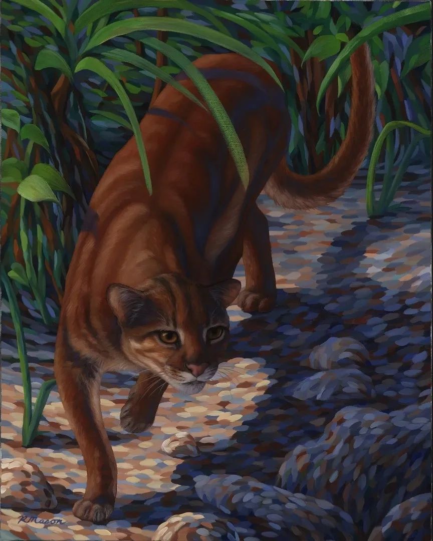 Bornean bay cat painting by Rochelle Mason
