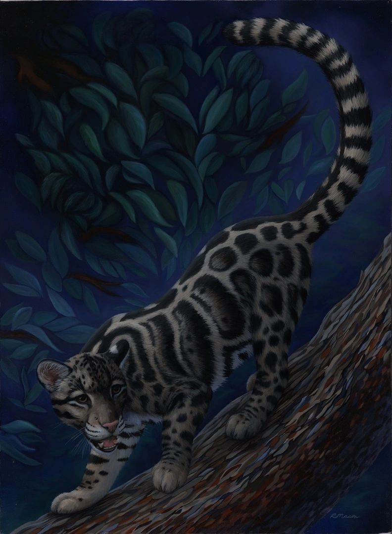 Clouded leopard painting for sale by Rochelle Mason, Artist
Original artwork, paintings