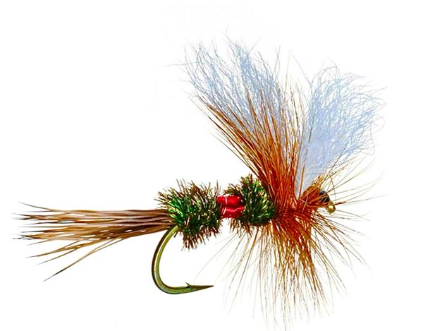 Close-up of a colorful fishing fly lure.