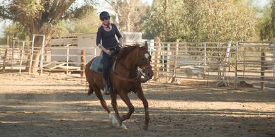 Penelope, trail trials horse and training