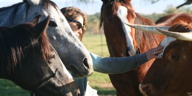 Cybéle, the babies and Moo