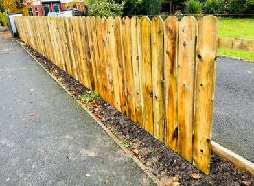 Lollipop timber fencing