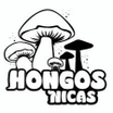 Hongos Nicaragua ( Hongos Frescos y derivados )