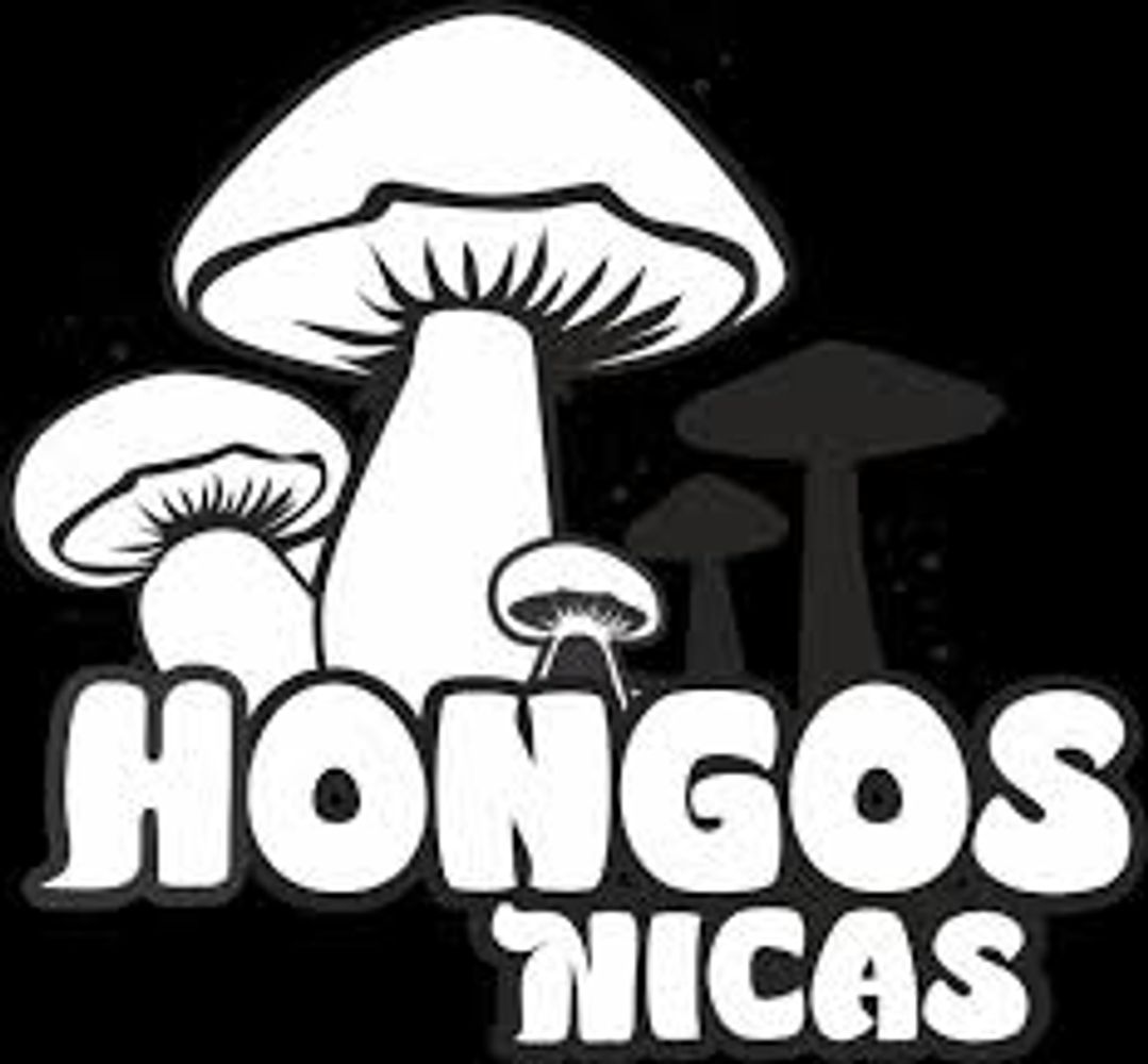 Hongos ostra, shiitake, champiñones, portobello en Nicaragua.
Productores de hongos en Nicaragua.