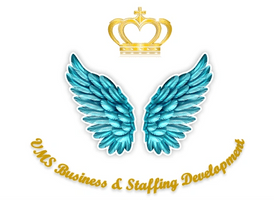VMS Business & Staffing Development LLC 