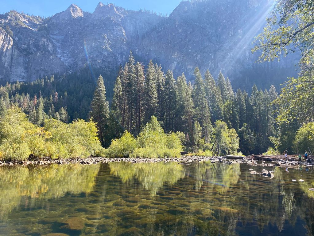 Mountain forest reflected in a clear river with sunlight.