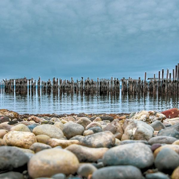 Rocky shore with old wooden pilings in calm water under a cloudy sky.